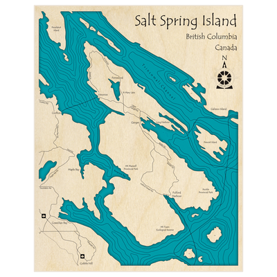 Bathymetric topo map of Salt Springs Island with roads, towns and depths noted in blue water