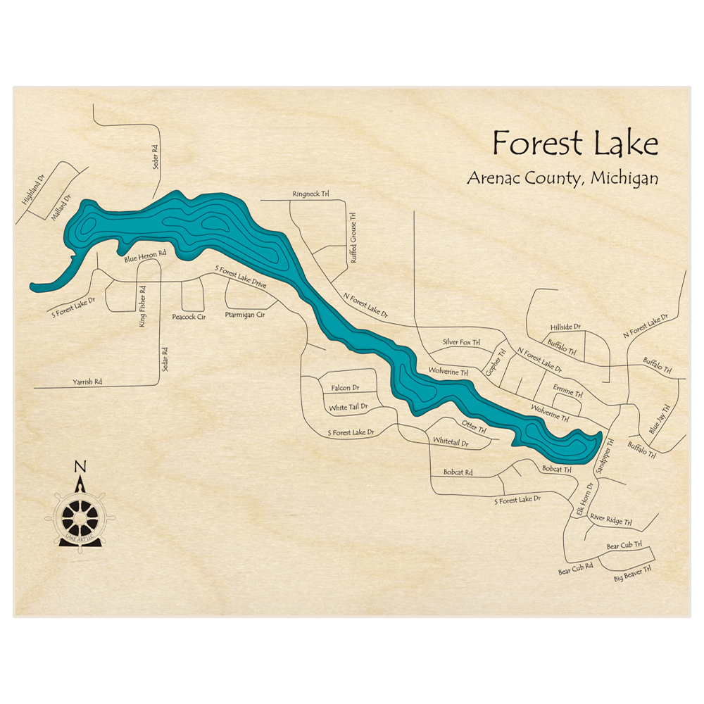 Bathymetric topo map of Forest Lake  with roads, towns and depths noted in blue water
