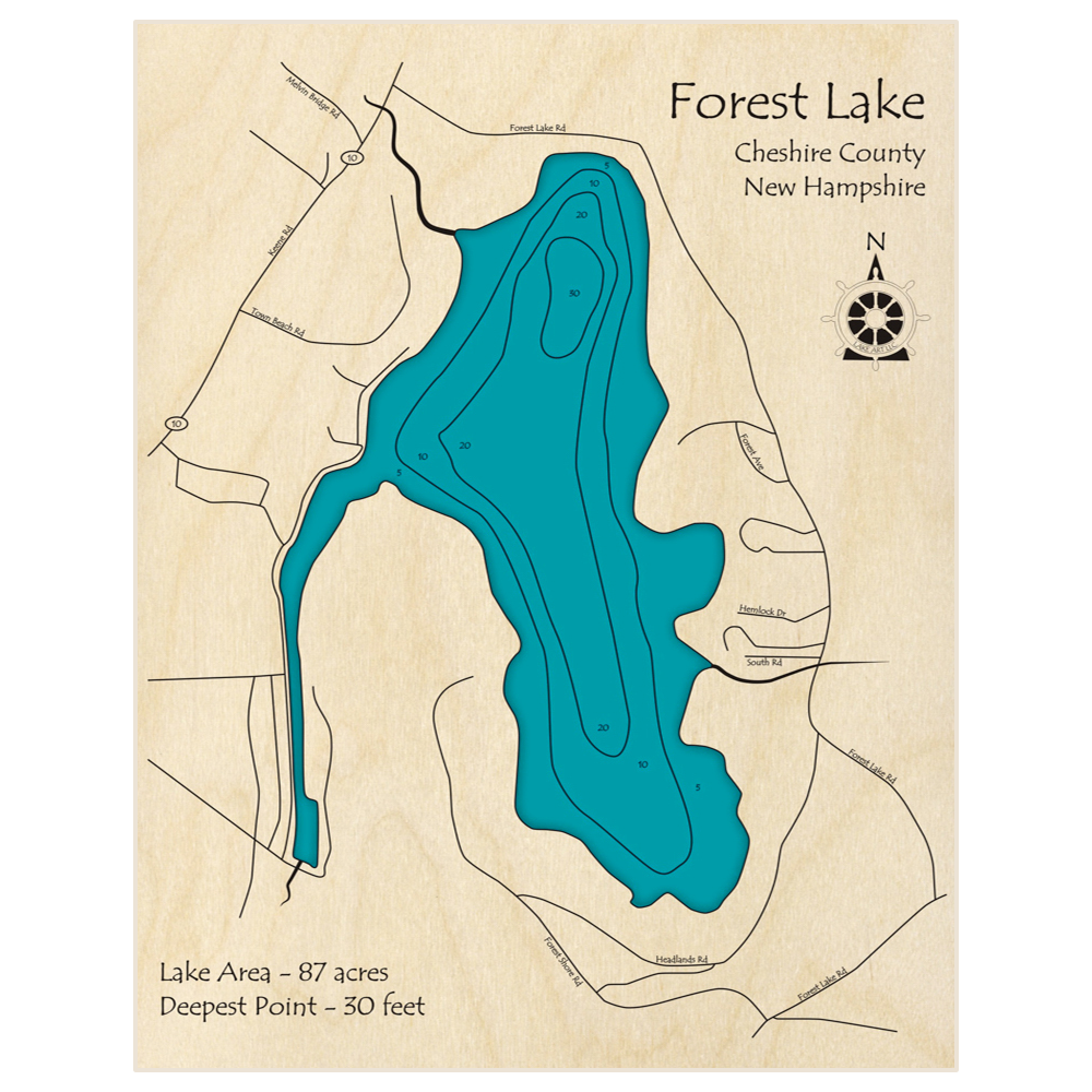 Bathymetric topo map of Forest Lake with roads, towns and depths noted in blue water