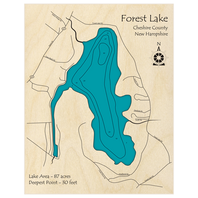 Bathymetric topo map of Forest Lake with roads, towns and depths noted in blue water