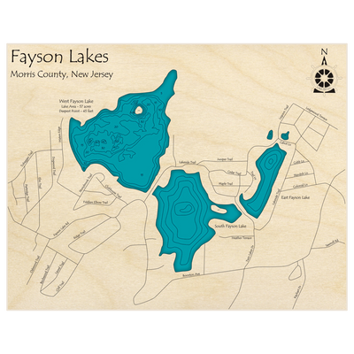 Bathymetric topo map of Fayson Lake with roads, towns and depths noted in blue water