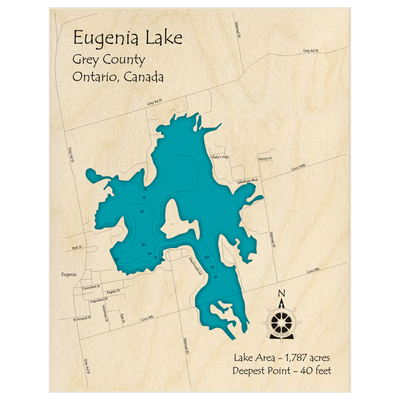 Bathymetric topo map of Eugenia Lake with roads, towns and depths noted in blue water