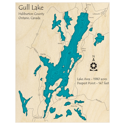 Bathymetric topo map of Gull Lake with roads, towns and depths noted in blue water