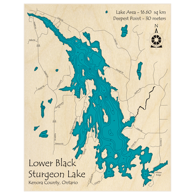 Bathymetric topo map of Lower Black Sturgeon Lake with roads, towns and depths noted in blue water