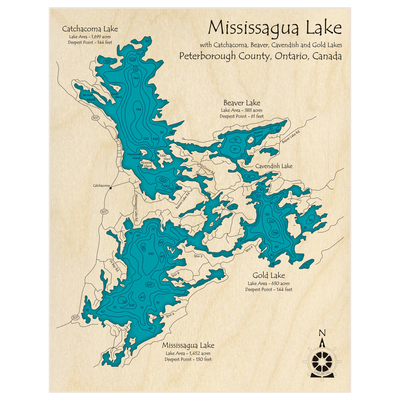 Bathymetric topo map of Mississagua Lake (With Cavendish Gold Beaver and Catchcoma Lakes) with roads, towns and depths noted in blue water