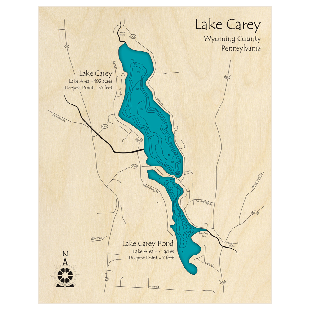 Bathymetric topo map of Lake Carey with roads, towns and depths noted in blue water