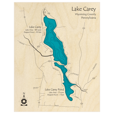 Bathymetric topo map of Lake Carey with roads, towns and depths noted in blue water