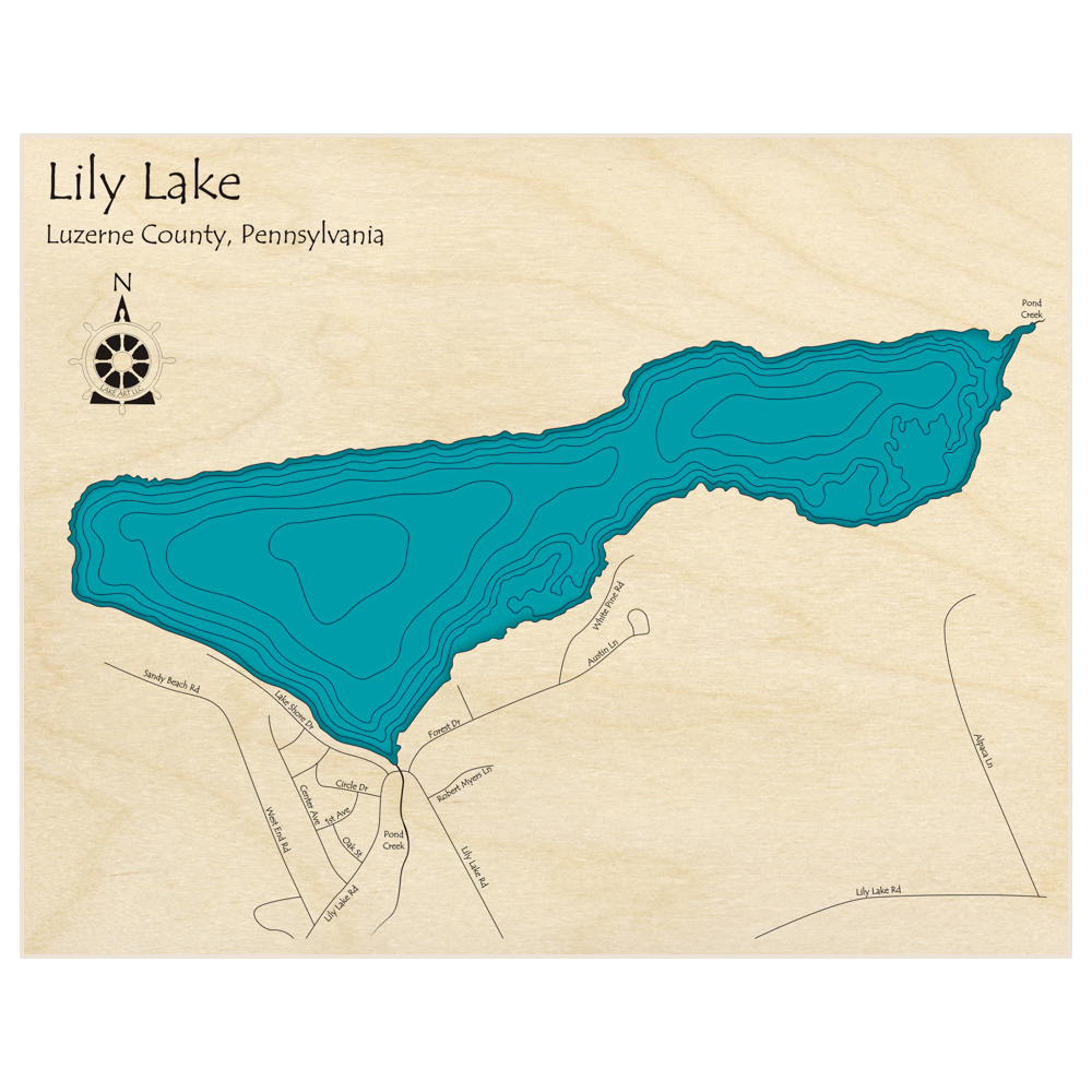 Bathymetric topo map of Lily Lake  with roads, towns and depths noted in blue water