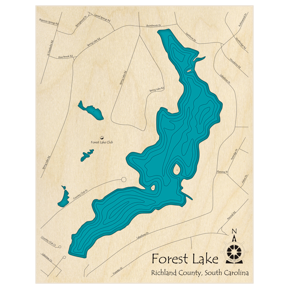 Bathymetric topo map of Forest Lake  with roads, towns and depths noted in blue water