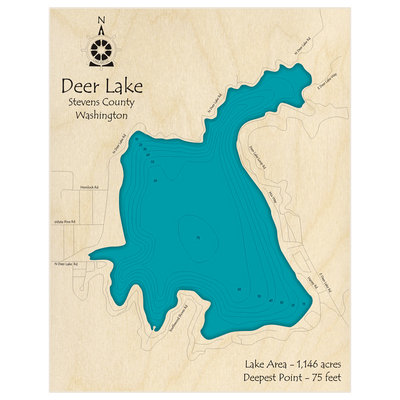 Bathymetric topo map of Deer Lake with roads, towns and depths noted in blue water